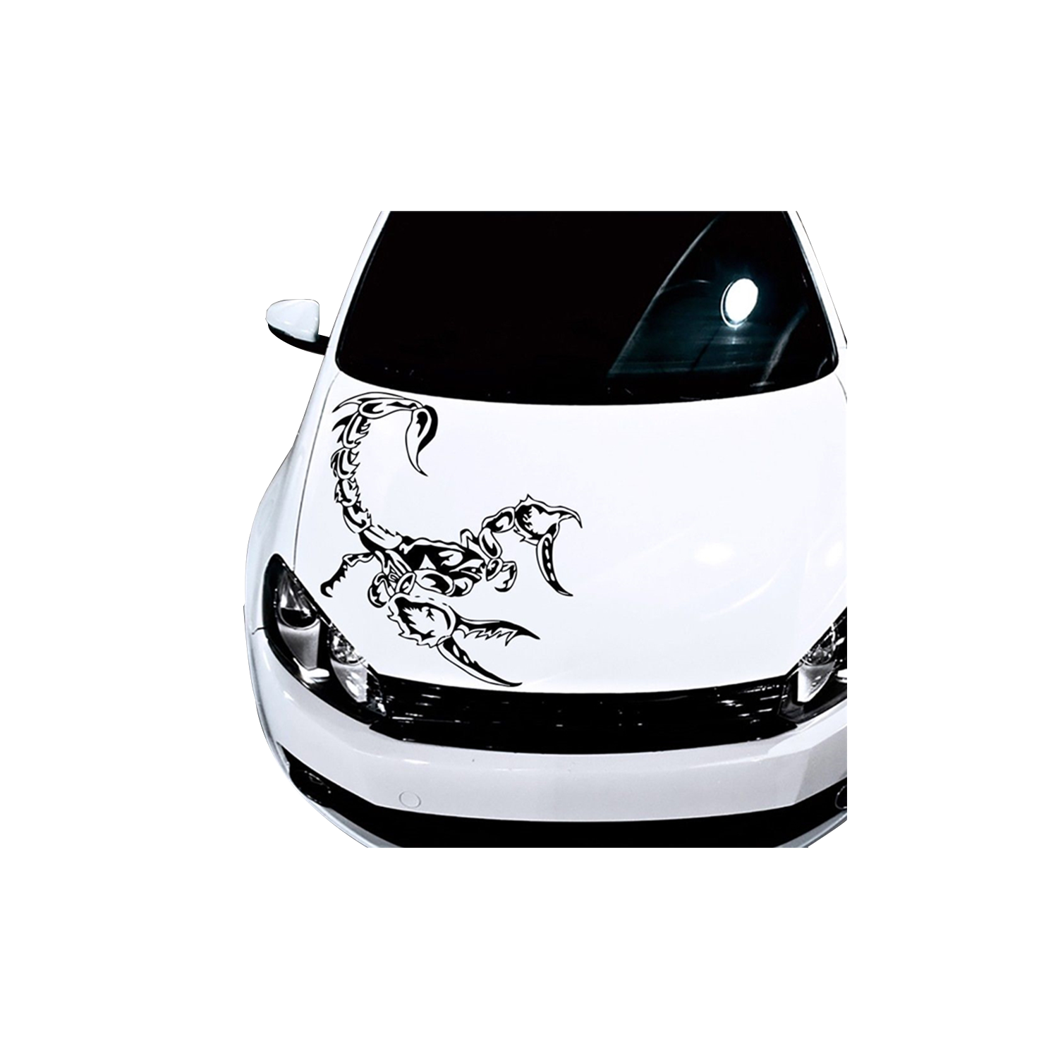 Product Gallery Image