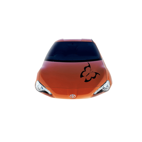 Product Gallery Image