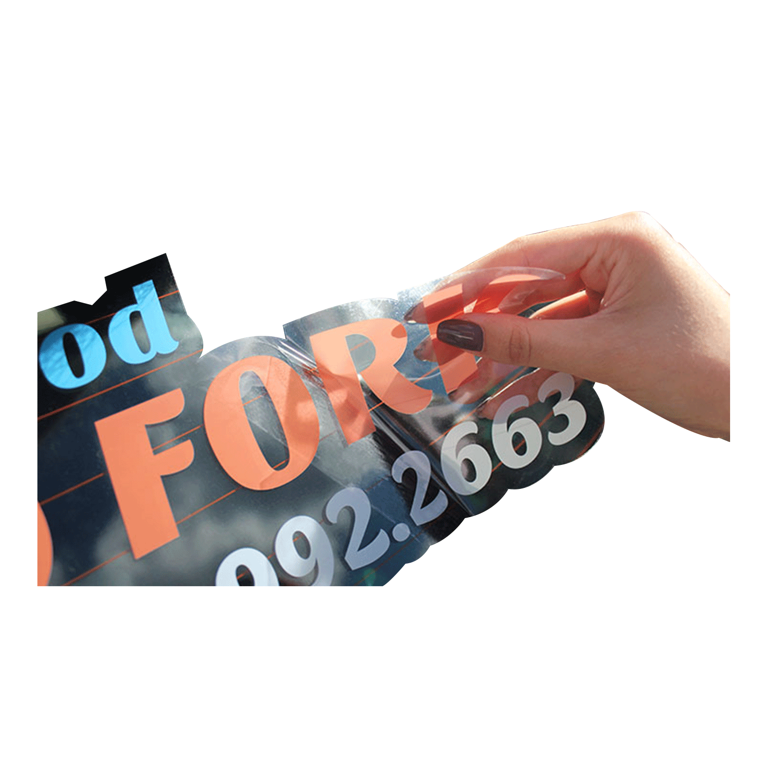 Product Gallery Image